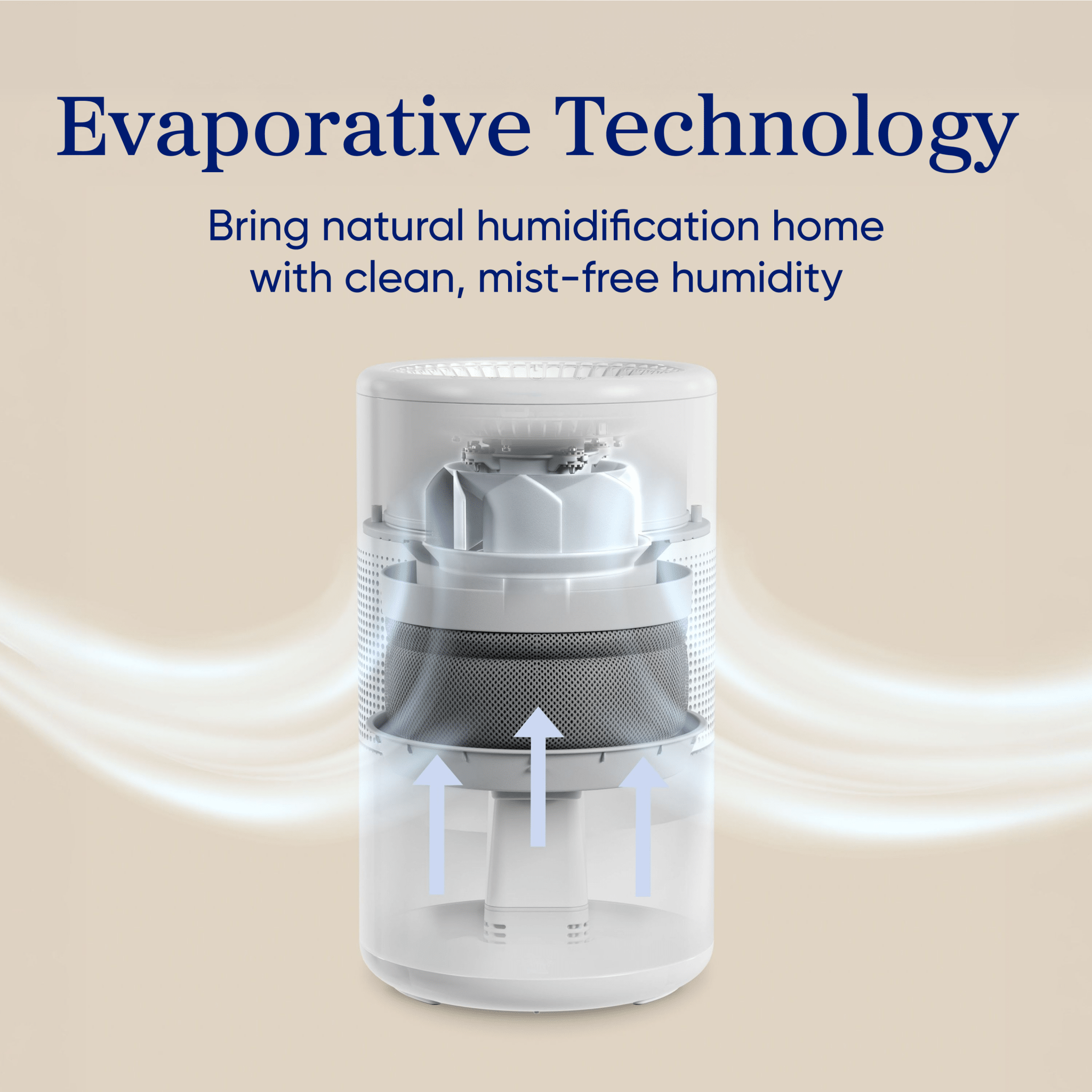 Levoit Superior Studio Evaporative Humidifier - Image 2